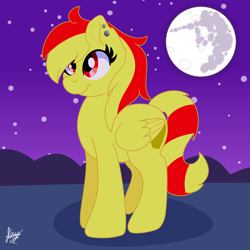 Size: 2048x2048 | Tagged: safe, artist:jay_wackal, derpibooru import, oc, oc only, oc:marmalade, pegasus, pony, night, pegasus oc