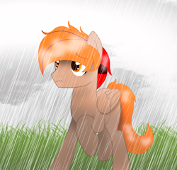 Size: 2846x2736 | Tagged: safe, artist:fededash, derpibooru import, oc, oc:fededash, pegasus, cloud, glass, pegasus oc, rain, simple background