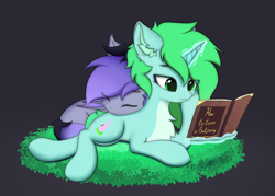 Size: 2560x1834 | Tagged: safe, artist:hotimoonwoods, derpibooru import, oc, oc only, oc:lily moonlight, oc:mintya, bat pony, pony, unicorn, bat pony oc, chest fluff, commission, cutie mark, ear fluff, ears, eyes closed, grass, horn, magic, reading, shipping