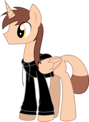 Size: 1896x2606 | Tagged: safe, artist:emc-blingds, derpibooru import, oc, oc only, alicorn, pony, alicorn oc, clothes, hoodie, horn, male, simple background, solo, stallion, transparent background, wings