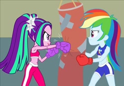 Size: 622x430 | Tagged: safe, artist:sapphiregamgee, derpibooru import, aria blaze, rainbow dash, equestria girls, boxing gloves, cropped, duo, duo female, female, punching bag, workout outfit