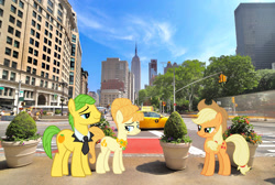 Size: 2048x1373 | Tagged: safe, artist:misteraibo, artist:rainbowplasma, artist:yanoda, derpibooru import, edit, applejack, aunt orange, mosely orange, uncle orange, earth pony, pony, cowboy hat, female, hat, irl, male, manhattan, mare, necktie, new york, new york city, photo, ponies in real life, stallion, stetson, story included