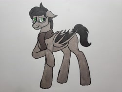 Size: 4032x3024 | Tagged: safe, artist:rustlerustle, derpibooru import, oc, oc only, oc:cornerstone, bat pony, clothes, glasses, photo, scarf, solo, traditional art