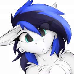 Size: 1925x1925 | Tagged: safe, artist:observerdoz, derpibooru import, oc, oc only, oc:black ice, pegasus, bust, chest fluff, ear fluff, ears, female, floppy ears, portrait, simple background, solo, white background