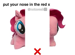 Size: 1125x835 | Tagged: safe, derpibooru import, editor:notxweeb, pinkie pie, earth pony, original species, pony, caption, illusion, image macro, meme, plush pony, plushie, solo, text