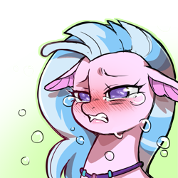 Size: 1159x1159 | Tagged: safe, artist:cold-blooded-twilight, derpibooru import, silverstream, hippogriff, seapony (g4), blue mane, blushing, bubble, crying, digital art, female, jewelry, necklace, purple eyes, sad, seapony silverstream, simple background, solo, teeth, transparent background, underwater
