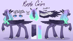 Size: 1024x575 | Tagged: safe, artist:purplegrim40, derpibooru import, oc, oc only, pegasus, pony, duo, female, mare, pegasus oc, raised hoof, raised leg, reference sheet, wings