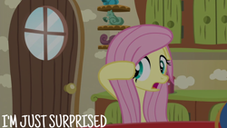 Size: 1920x1080 | Tagged: safe, derpibooru import, edit, edited screencap, editor:quoterific, screencap, fluttershy, pegasus, pony, flutter brutter, season 6, female, mare, solo