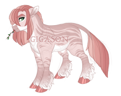 Size: 2900x2300 | Tagged: safe, artist:gigason, derpibooru import, oc, oc only, oc:sugar apple, zony, interspecies offspring, male, mouth hold, obtrusive watermark, offspring, parent:big macintosh, parent:zecora, parents:macora, simple background, solo, stallion, transparent background, unshorn fetlocks, watermark