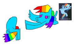 Size: 1195x715 | Tagged: safe, derpibooru import, rainbow dash, fly, insect, pegasus, pony, disembodied head, flying, multicolored hair, picture in picture, rainbow hair, simple background, two legged creature, vulgar, wat, white background, wtf, королева кошек