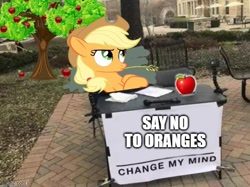 Size: 577x432 | Tagged: safe, artist:mlpfan3991, derpibooru import, applejack, earth pony, pony, apple, apple tree, caption, change my mind, female, food, irl, meme, photo, solo, table, text, tree