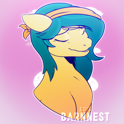 Size: 2160x2160 | Tagged: safe, artist:barnnest, oc, oc only, earth pony, pony, solo