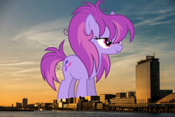 Size: 1016x677 | Tagged: safe, artist:starryshineviolet, derpibooru import, glitter spritz, earth pony, pony, amsterdam, background pony, female, giant pony, giant/macro earth pony, giantess, highrise ponies, irl, macro, mare, mega giant, netherlands, photo, ponies in real life, smiling, solo