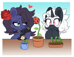 Size: 1424x1102 | Tagged: safe, artist:slimewiz, derpibooru import, oc, oc only, oc:kennel nightshade, oc:s.leech, pegasus, pony, unicorn, flower, flower in hair, gradient background, heart, horn, oc x oc, pegasus oc, plant, shipping, unicorn oc