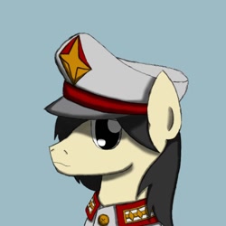 Size: 798x798 | Tagged: safe, artist:efpony, derpibooru import, oc, oc only, oc:efpony, earth pony, pony, clothes, earth pony oc, hat, simple background, solo