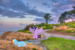 Size: 2048x1364 | Tagged: safe, artist:decprincess, artist:fabulouspony, derpibooru import, rainbow dash, twilight sparkle, twilight sparkle (alicorn), alicorn, pegasus, pony, cape elizabeth, duo, eyes closed, female, flying, irl, maine, mare, photo, ponies in real life, sleeping