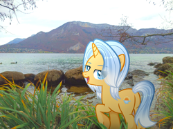 Size: 2212x1656 | Tagged: safe, artist:moocca, derpibooru import, oc, oc only, pony, unicorn, butt, female, horn, irl, lake, mare, mountain, orange coat, photo, plot, ponies in real life, smiling, solo, unicorn oc, water