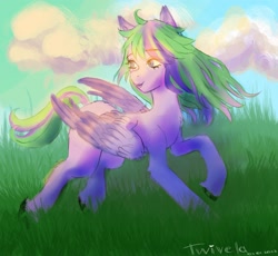 Size: 2265x2087 | Tagged: safe, artist:twivela, derpibooru import, oc, oc only, pegasus, pony, female, mare, pegasus oc, solo, solo female, wings