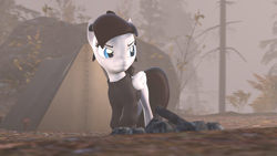 Size: 1920x1080 | Tagged: safe, artist:midnightdanny, derpibooru import, oc, oc only, oc:midnight harmony, pegasus, pony, 3d, campfire, solo, source filmmaker