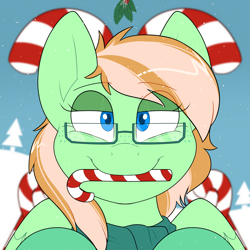 Size: 2000x2000 | Tagged: safe, artist:2k.bugbytes, oc, oc only, oc:sapphie, pegasus, pony, bags under eyes, bust, candy, candy cane, christmas, clothes, female, food, freckles, glasses, holiday, holly, holly mistaken for mistletoe, lidded eyes, looking at you, mare, mouth hold, portrait, scarf, smiling, snow, snowfall, solo, two toned mane, ych result