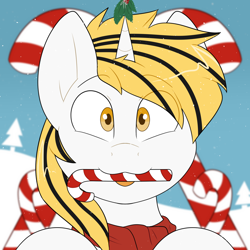 Size: 2000x2000 | Tagged: safe, artist:2k.bugbytes, oc, oc only, oc:srok, pony, unicorn, bust, candy, candy cane, christmas, clothes, food, holiday, holly, holly mistaken for mistletoe, looking at you, mouth hold, portrait, scarf, smiling, snow, snowfall, solo, tongue, tongue out, two toned mane, ych result