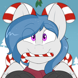 Size: 2000x2000 | Tagged: safe, artist:2k.bugbytes, oc, oc only, oc:delta dart, hippogriff, bust, candy, candy cane, christmas, clothes, food, holiday, holly, holly mistaken for mistletoe, looking at you, male, mouth hold, portrait, scarf, smiling, smiling at you, snow, snowfall, solo, two toned mane, ych result