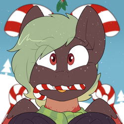 Size: 2000x2000 | Tagged: safe, artist:2k.bugbytes, oc, oc only, oc:terracotta, hippogriff, bust, candy, candy cane, christmas, clothes, coat markings, cute little fangs, female, food, freckles, holiday, holly, holly mistaken for mistletoe, looking at you, mouth hold, portrait, scarf, smiling, smiling at you, snow, snowfall, solo, tongue, tongue out, two toned mane, ych result