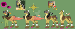 Size: 1280x509 | Tagged: safe, artist:malinraf1615, derpibooru import, a.k. yearling, daring do, quibble pants, earth pony, pegasus, pony, alternate design, cheek feathers, chest fluff, colored belly, daringpants, deviantart watermark, feathered fetlocks, female, green background, male, mare, obtrusive watermark, pale belly, reference sheet, scar, screencap reference, shipping, simple background, slim, stallion, straight, thin, watermark