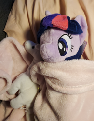 Size: 2850x3655 | Tagged: safe, derpibooru import, twilight sparkle, pony, 4de, photo, photography, plushie