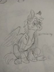 Size: 3120x4160 | Tagged: safe, artist:cackling-beast, derpibooru exclusive, derpibooru import, oc, oc only, pegasus, pony, sitting, sketch, solo, text, traditional art, wall eyed