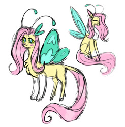 Size: 540x549 | Tagged: safe, artist:yubov, derpibooru import, fluttershy, draconequus, blushing, draconequified, flutterequus, simple background, sketch, smiling, solo, species swap, white background, wings