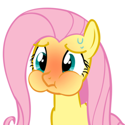 Size: 1280x1280 | Tagged: safe, derpibooru import, fluttershy, pegasus, stare master, female, holding breath, puffy cheeks, red face, simple background, solo, sweat, white background