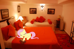 Size: 1024x681 | Tagged: safe, artist:jaredking779, artist:teiptr, derpibooru import, edit, fluttershy, pegasus, pony, bed, eyes closed, female, irl, lying down, mare, marrakech, marrakesh, morocco, photo, pillow, ponies in real life, prone, sleeping, solo