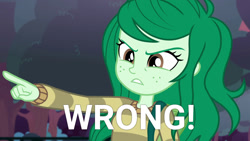 Size: 1803x1014 | Tagged: safe, derpibooru import, edit, edited screencap, screencap, wallflower blush, better together, equestria girls, forgotten friendship, angry, female, pointing, reaction image, solo, wrong