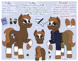 Size: 1275x1000 | Tagged: safe, derpibooru import, oc, earth pony, clothes, info, items, male, ponysona, reference sheet, solo, stallion