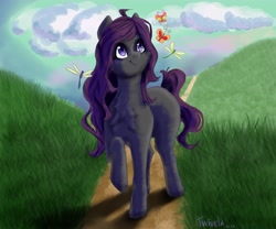 Size: 4800x4000 | Tagged: safe, artist:twivela, derpibooru import, oc, oc only, butterfly, pony, cloud, female, mare, path, solo