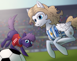 Size: 1920x1505 | Tagged: safe, artist:tsswordy, derpibooru import, oc, oc only, oc:wolf herbst, earth pony, pegasus, pony, clothes, duo, earth pony oc, football, pegasus oc, shirt, sports, t-shirt