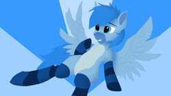 Size: 1920x1080 | Tagged: safe, artist:puginpocket, derpibooru import, oc, oc only, oc:simon pegasus, bat pony, hybrid, pegasus, pony, bat pony oc, belly, blue background, blue coat, blue eyes, blue mane, clothes, colored belly, happy, male, pale belly, pegasus oc, pegasus wings, simple background, smiling, socks, solo, stallion, striped socks, wings