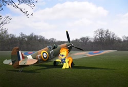 Size: 1580x1081 | Tagged: safe, derpibooru import, spitfire, pegasus, pony, clothes, drill sergeant, female, irl, mare, namesake, photo, plane, ponies in real life, pun, spitfire's whistle, sunglasses, supermarine spitfire, visual pun, whistle, whistle necklace