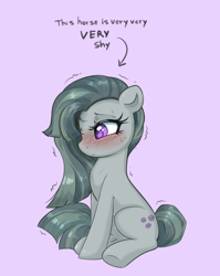 Size: 2840x3564 | Tagged: safe, artist:confetticakez, derpibooru import, marble pie, earth pony, pony, blushing, cute, female, hair over one eye, marblebetes, mare, motion lines, nervous, nervous sweat, purple background, shy, simple background, sitting, solo, sweat, text, that pony sure is shy