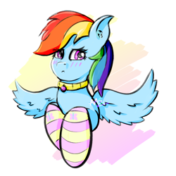 Size: 1300x1300 | Tagged: safe, artist:avacz, derpibooru import, rainbow dash, blushing, clothes, collar, cute, embarrassed, sketch, socks