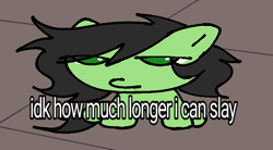 Size: 732x404 | Tagged: safe, artist:omelettepony, ponerpics import, oc, oc only, oc:anon filly, earth pony, pony, earth pony oc, female, filly, foal, looking at you, meme, ponified, ponified animal photo, ponified meme, shitposting, text