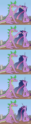 Size: 3662x14380 | Tagged: safe, artist:lightning bolty, derpibooru import, editor:snowy comet, princess twilight 2.0, spike, twilight sparkle, twilight sparkle (alicorn), alicorn, dragon, pony, the last problem, absurd resolution, building, cartoon physics, city, cityscape, colored, comic, concave belly, cracked ground, cracks, cute, destruction, digestion without weight gain, ears, eating, ethereal mane, ethereal tail, feeding, female, flat colors, floppy ears, folded wings, gradient mane, gulp, hammerspace, hammerspace belly, height difference, implied mass vore, implied vore, long mane, looking at each other, looking at someone, macro, male, neck bulge, object stuffing, object vore, older, older spike, older twilight, rubble, shipping, signature, sitting, sky, slim, smiling, smiling at each other, starry mane, starry tail, sternocleidomastoid, straight, swallowing, tail, tall, thin, throat bulge, twiabetes, twispike, vore sequence, wall of tags, wingless, wings
