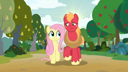 Size: 1920x1080 | Tagged: safe, derpibooru import, edit, edited screencap, screencap, big macintosh, fluttershy, earth pony, pegasus, pony, the perfect pear, apple, apple tree, character swap, duo, female, fluttermac, height difference, looking at each other, looking at someone, male, mare, pear tree, shipping, smiling, smiling at each other, stallion, straight, summer, tree, walking