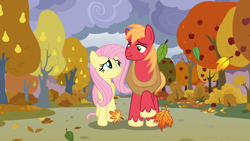 Size: 1920x1080 | Tagged: safe, derpibooru import, edit, edited screencap, screencap, big macintosh, fluttershy, earth pony, pegasus, pony, the perfect pear, apple, apple tree, autumn, blushing, character swap, duo, falling leaves, female, fluttermac, height difference, leaves, looking at you, male, mare, pear tree, shipping, smiling, smiling at you, stallion, straight, tree, walking
