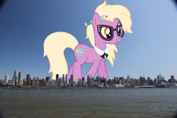 Size: 2048x1365 | Tagged: safe, artist:jaredking779, artist:starryshineviolet, derpibooru import, grace manewitz, earth pony, pony, background pony, female, giant pony, giant/macro earth pony, giantess, glasses, highrise ponies, irl, macro, manhattan, mare, mega giant, new york, new york city, pencil, photo, ponies in real life