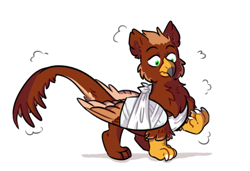 Size: 1362x930 | Tagged: safe, artist:kite, derpibooru import, oc, oc only, oc:pavlos, griffon, bandage, broken wing, cast, chest fluff, claws, eared griffon, griffon oc, simple background, sling, solo, surprised, white background, wings