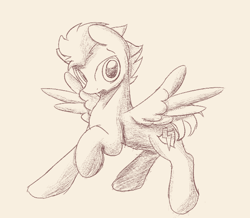 Size: 627x546 | Tagged: safe, artist:ricy, derpibooru import, flash sentry, pegasus, cutie mark, flying, looking at you, male, monochrome, sketch, solo, spread wings, stallion, wings