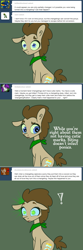 Size: 650x1954 | Tagged: safe, artist:toadstool-prancer, derpibooru import, doctor whooves, oc, oc:tantamount, pony, disguise, disguised changeling, solo, tantamount time turner