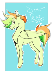 Size: 1831x2500 | Tagged: safe, artist:silagekiddz, derpibooru import, oc, oc only, oc:sour pear, pegasus, pony, colt, concave belly, foal, grin, male, offspring, parent:big macintosh, parent:rainbow dash, parents:rainbowmac, passepartout, simple background, slim, smiling, solo, sternocleidomastoid, teenager, thin, thin legs, transparent background, unshorn fetlocks